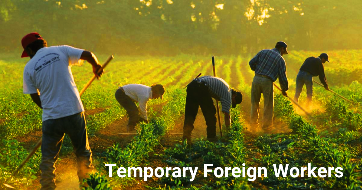 Temporary Foreign Workers